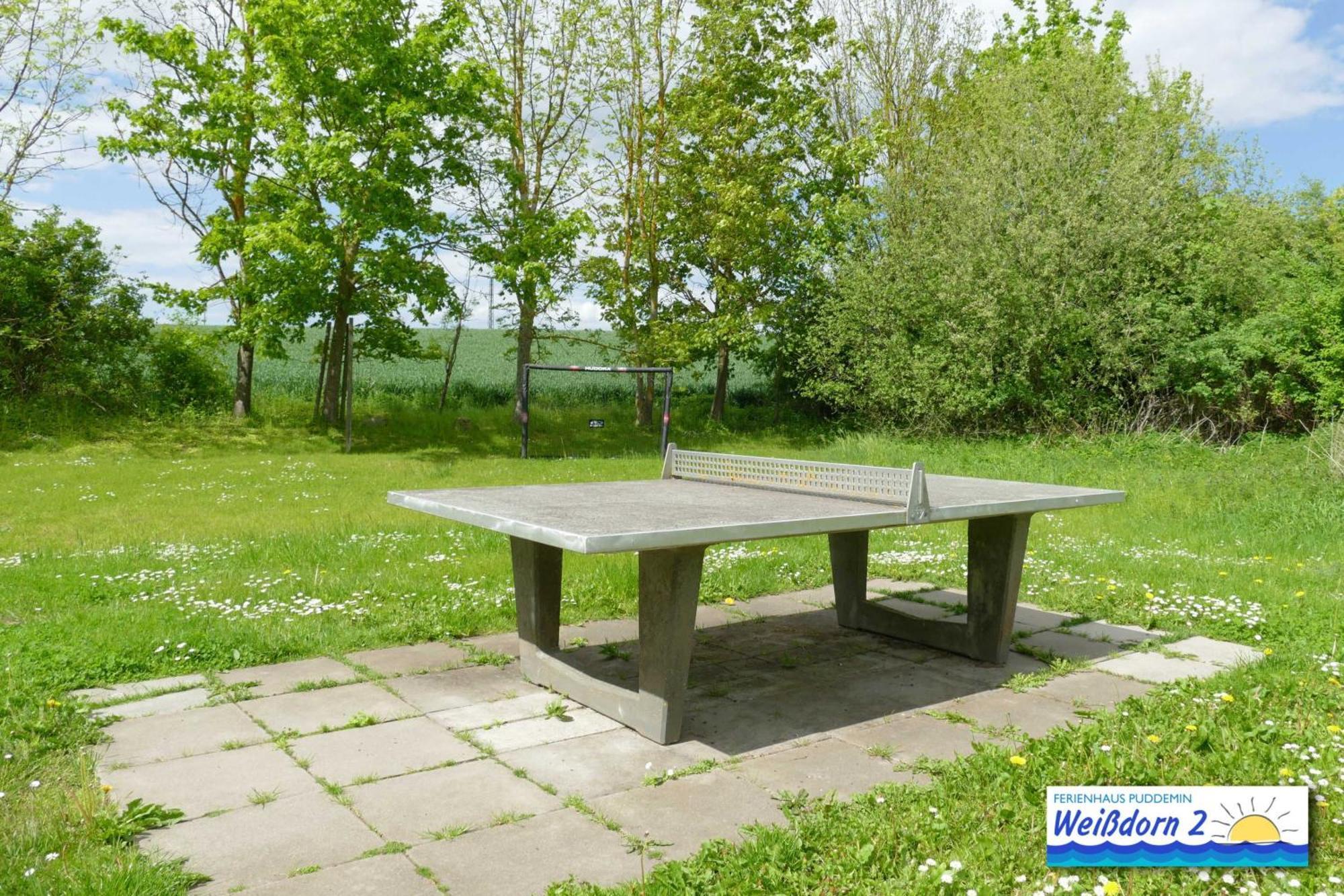 Familienfreundliches Reetdachhaus Weissdorn 2 Puddemin Exterior foto